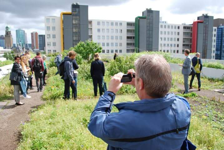 @drechtstadsboer met de Provincie <a href="/zuid_holland/">Provincie Zuid-Holland</a> op groene handelsmissie op de #Dakakker. @RobvanKatwijk in actie als dakgids en (mede)foundingfather <a href="/EmilevanRinsum/">Emile van Rinsum</a> vult aan ...