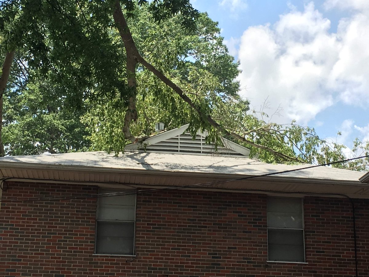 We see this problem way too often.  Tree branches growing too close to a roof are just a repair waiting to happen.  The larger limbs can poke holes in your roof and the smaller limbs can rip shingles off, leaving your roof more susceptible to leaks.  #roofingtips #homeimprovement