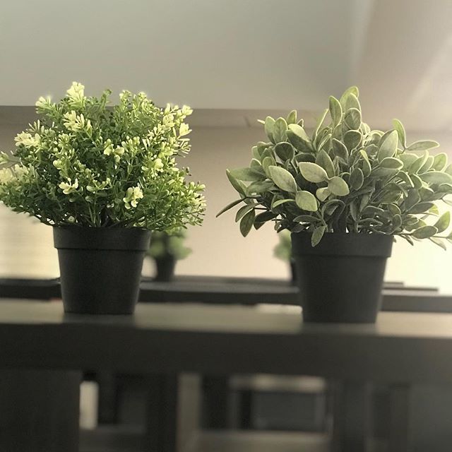 Tuesday’s are always bustling here at <a href="/studiocowork/">Studio CoWork MN</a> lots of our members &amp; tenants working &amp; building their businesses! We currently have private offices for lease make sure to grab a free tour to come see them! #studiocowork ift.tt/2KbAKqn Tuesday’s are always bustling…