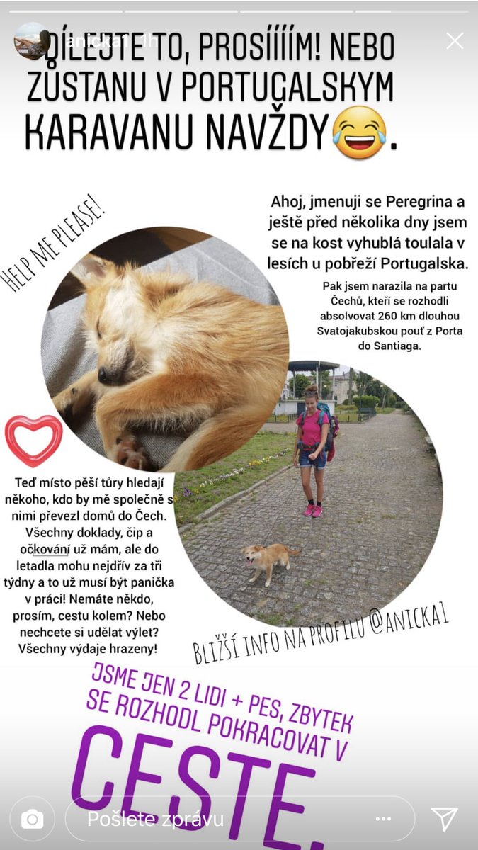 igorslavik's tweet photo. Přátelé, kamarádi. 
Kamarádka z Instagramu našla opuštěného pejska v Portugalsku.
Veterinární náležitosti vyřízeny. 
Přeprava letadlem = 3 týdenní karanténu. 
To bohužel časově nestíhá. 
Shání odvoz.
Náklady hradí. 
Nick na istagramu má anicka1.
Na tw není. 
Za RT děkuji. https://t.co/uTnXoIhnU3