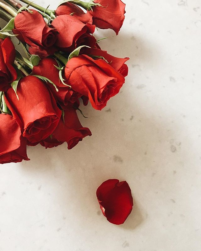 thebrandingedit's tweet photo. Today marks our one-year anniversary🎊🎉! WOOT WOOT🥂! It's impossible to celebrate this precious milestone without thanking all of you for following, connecting and engaging with us, and being a part of our community🌹! Cheers to another year of resourc… https://t.co/76kBjK3eUE https://t.co/1ordxmpYek
