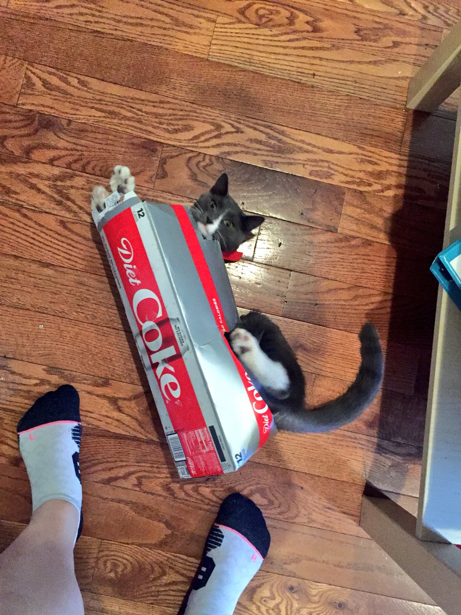 you goddamn fool. you blithering imbecile