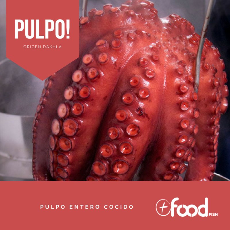 MasFoodFish's tweet photo. 🐙Pulpo Cocido Entero.Seleccionamos el Mejor Pulpo Extra de Dakhla.
❓Mas Información 👉🏻https://t.co/8cBIFbkuig
📌La mejor calidad al mejor precio
☎ 617.858.250 - 📧 info@masyfood.com
#pulpococido #pulpofeira #comprarpulpo #pulpo #masfood #madridoysterbar #pulpoalagallega https://t.co/G3MN6LvBxd