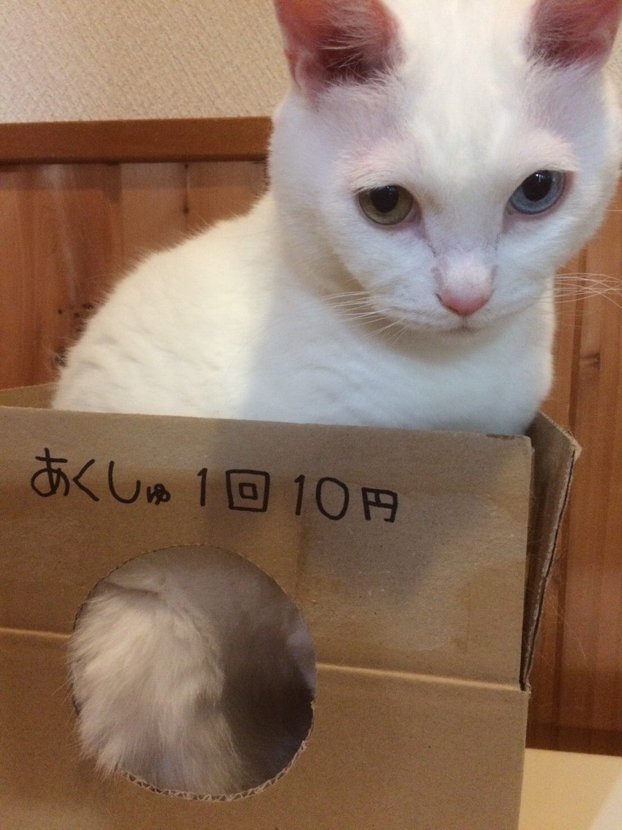 あくしゅ1回10円