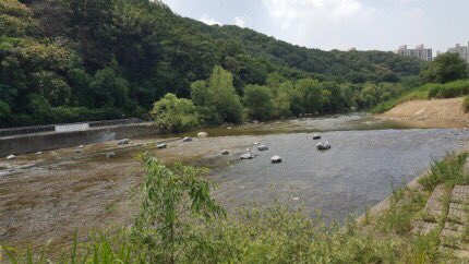 #성남시는 분당구 구미동 탄천 미금보를 없앤 자리에 자연형 여울을 조성 완료했습니다. 
여울은 물의 흐름을 빠르게 해 수중 산소량을 증가시킨다. 동시에 질소나 이산화탄소 같은 유해 물질을 제거해 수질 개선 효과를 낸다고 합니다. #성남시 #첨단산업과