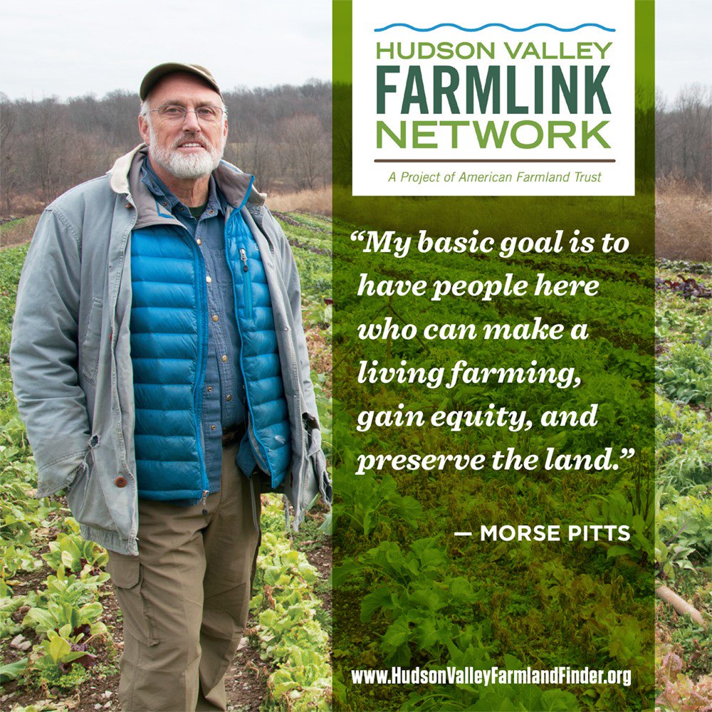 FarmlandNY's tweet image. After a neighboring farm became warehouse, Morse Pitts thought that might be the fate for @windfallfarms. Learn how Morse worked with #HVFarmlink Network partners @GrowNYC and @OCLandTrust to protect his land and jumpstart a new generation: farmland.org/windfall-farms #NYFarmStory