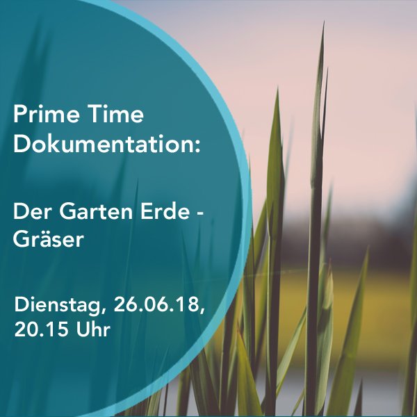 Phoenix On Twitter Um 20 15 Uhr Zeigt Phoenix Ihnen Die Dokumentation Der Garten Erde Graser Von Nick Shoolingin Jordan Mehr Infos Https T Co Qalbt57all Https T Co Wfl77ffiz9