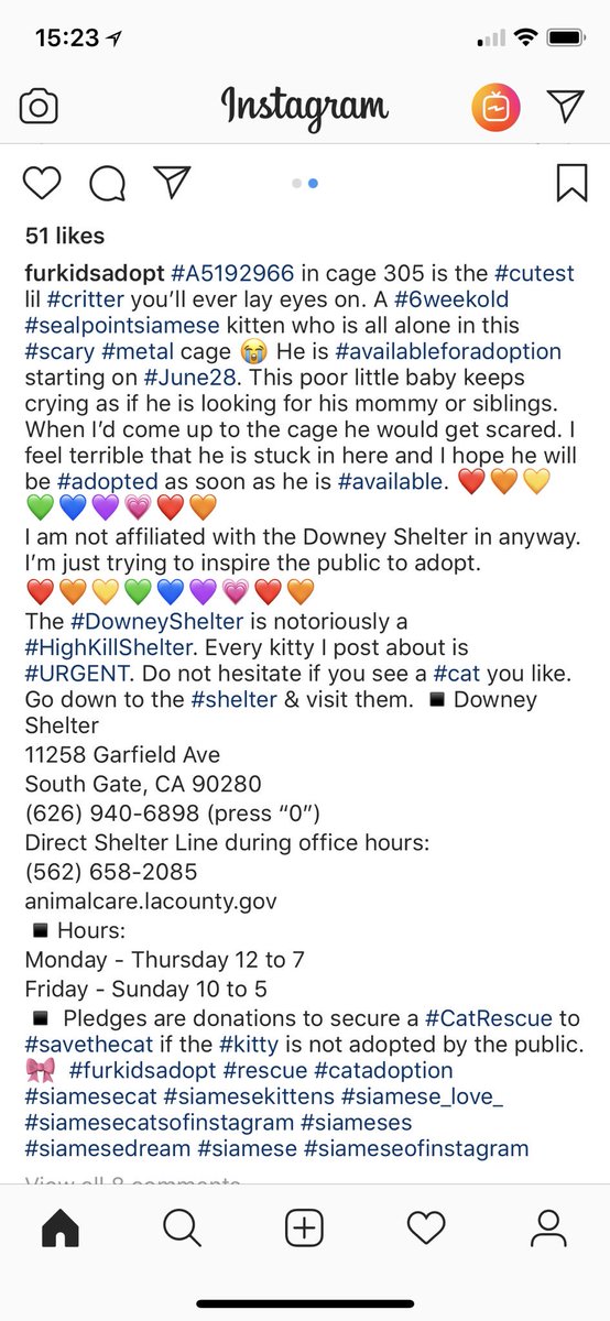 littleminx2's tweet image. Anyone near this high kill shelter please try and help and adopt before it’s too late
#highkill #sheltercat #help #adopt #CA