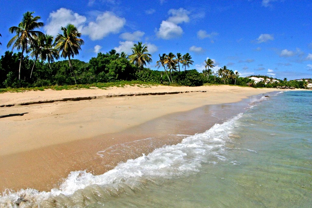 CaribbeanWinds's tweet image. Get up to 50% off your own private cottage in Antigua.

Live like a celebrity: buff.ly/2yFH2JP