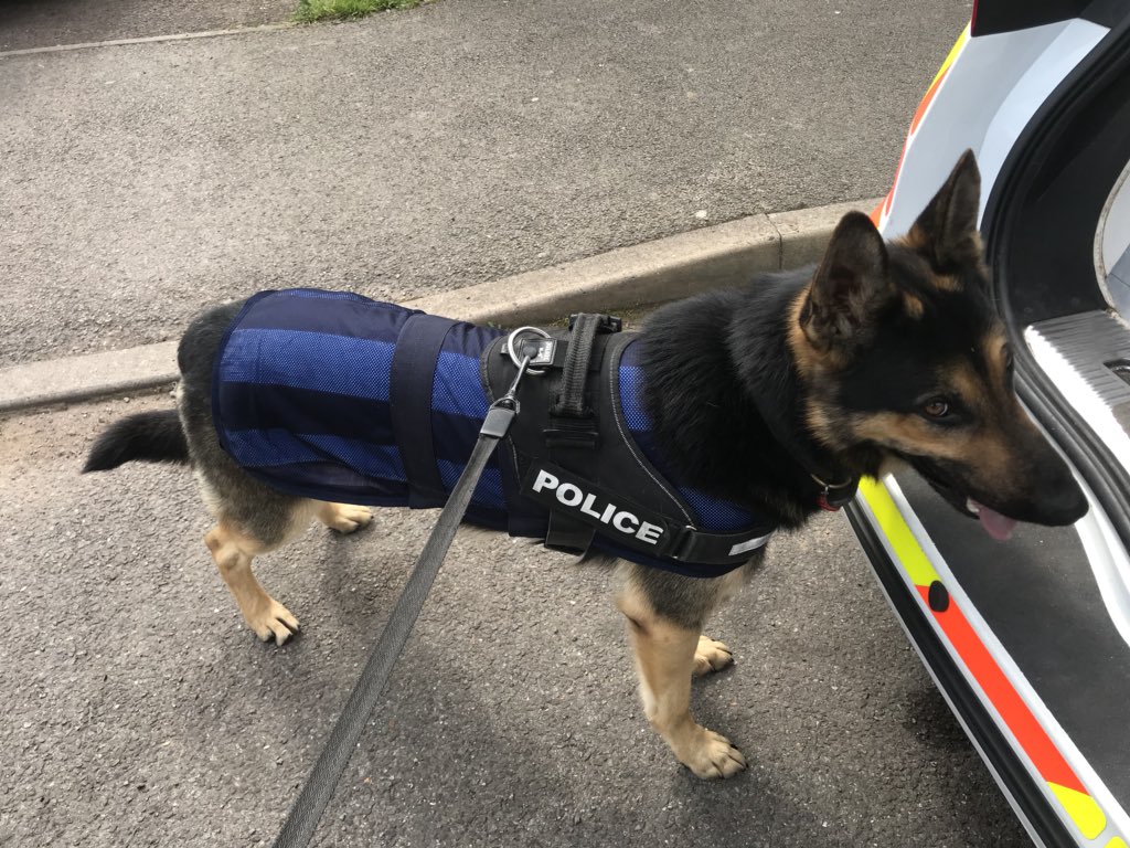 police dog jacket