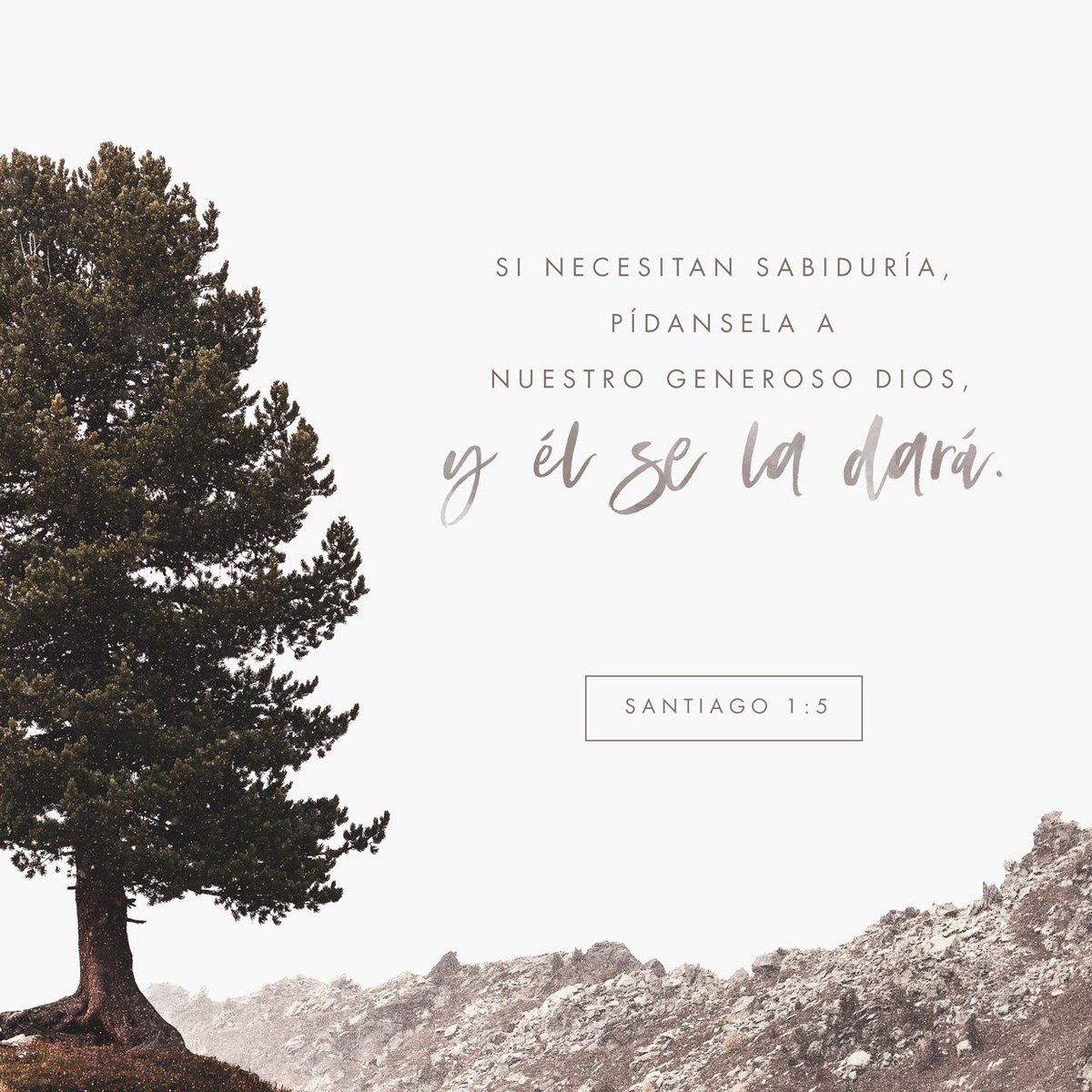 iRelacionDios's tweet photo. Si a alguno de ustedes le falta sabiduría, pídasela a Dios, y él se la dará, pues Dios da a todos generosamente sin menospreciar a nadie. https://t.co/TPTAYr8Qpu