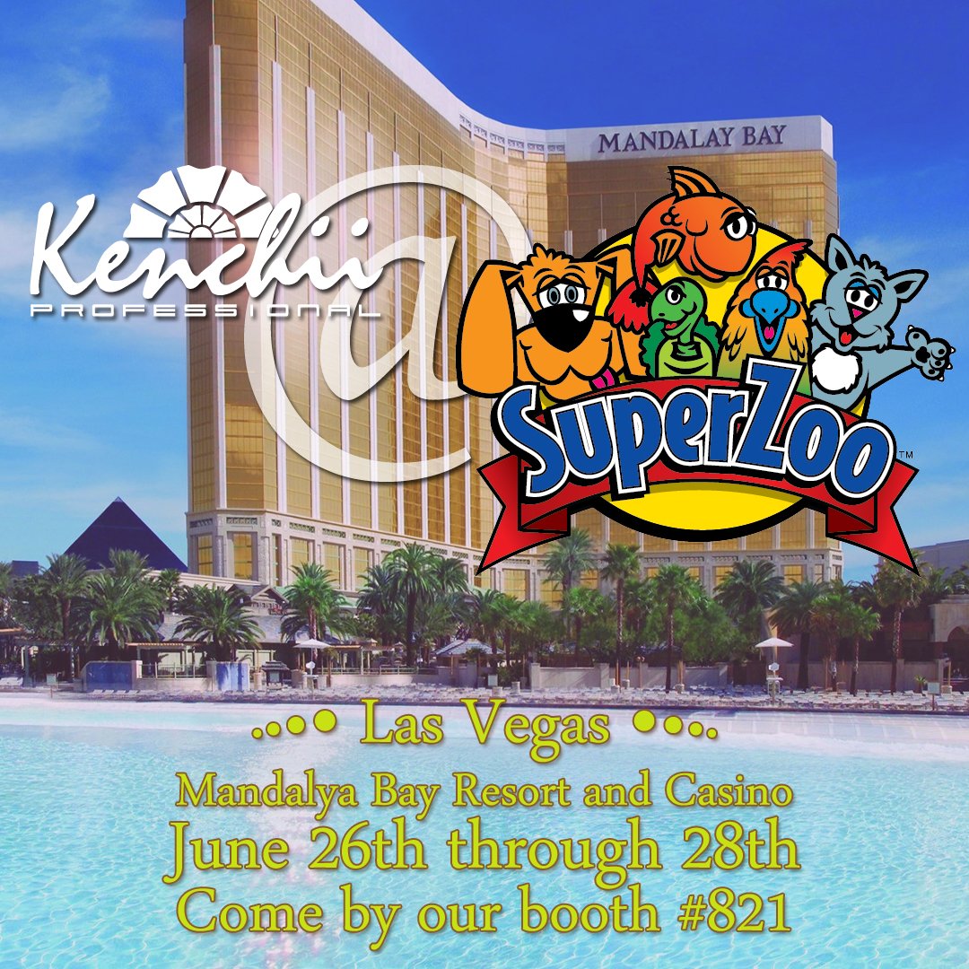 Kenchii has made it to SuperZoo Las Vegas at the Mandalay Bay Resort and Casino! Visit us at booth #821 for exclusive show specials until the 28th. 

#superzoo #vegas #kenchii #kenchiigrooming #kenchiishears #doggroomingshow #tradeshow #showspecials #shopnow #doggroomer #shears