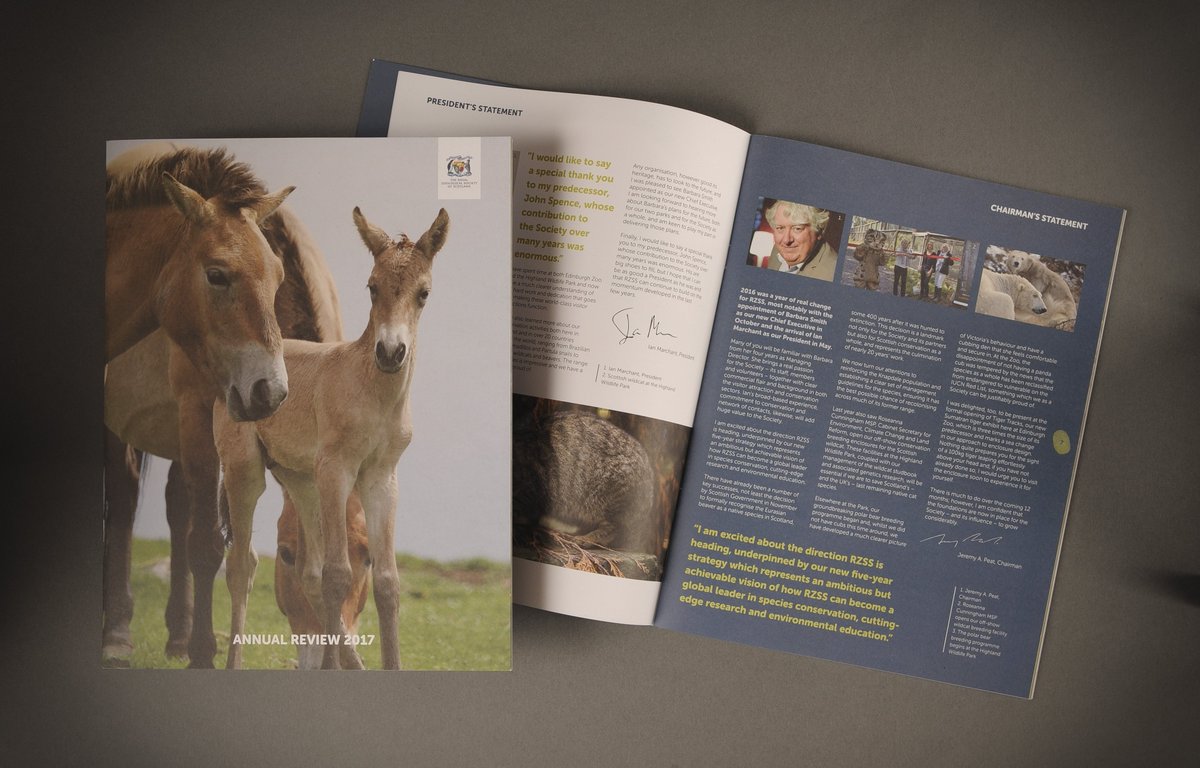 THINREDLINE1's tweet photo. Just got our hands on a printed copy of our Annual Review design for The Royal Zoological Society of Scotland #RZSS #EdinburghZoo #graphics #design #EverybodyLovesAPenguin #graphicdesign #brochure #thinredlinedesign #damnallthateagerness #folio #foals #animals #conservation https://t.co/8bIalT0e4V