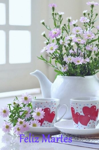 inmemoryd's tweet image. Feliz Martes😀