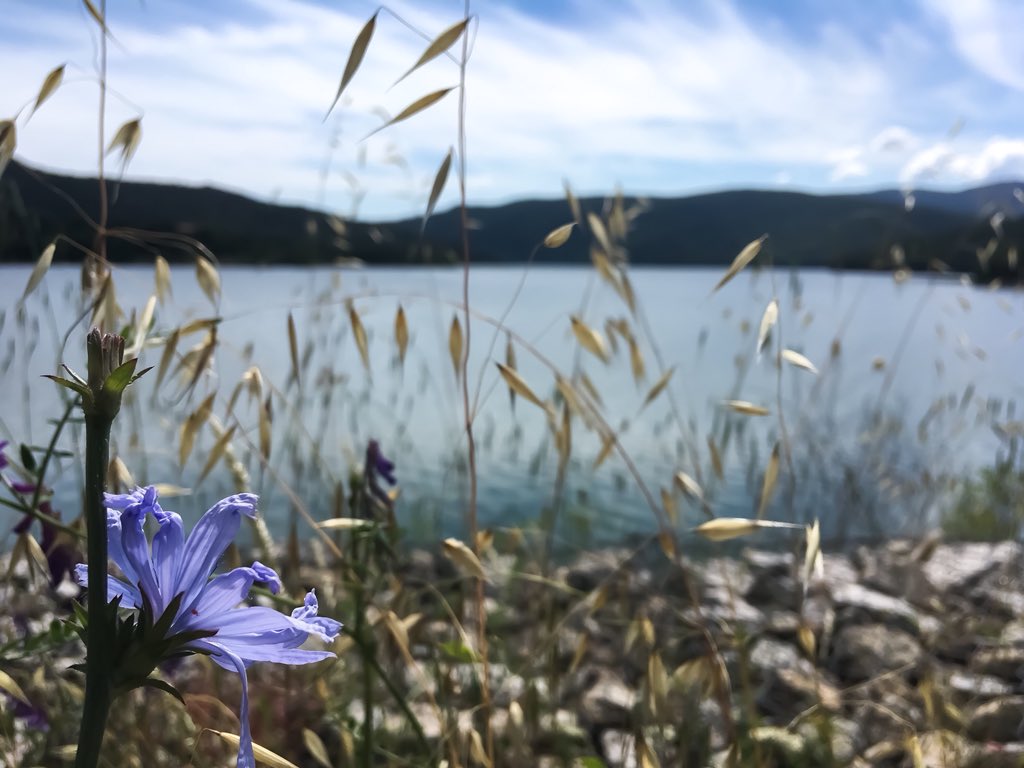 kristenandsteph's tweet photo. I woke up like this 🌸 #lakemagic https://t.co/MloMbRzuDS