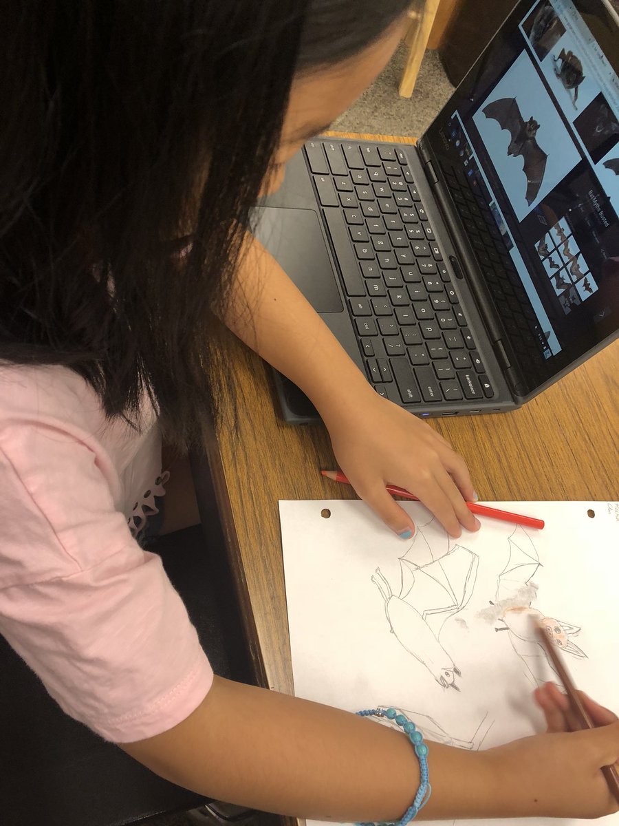 MrsWui's tweet photo. Using Chromebooks to research and prep for our clay sculpture projects. https://t.co/MYek7cA9De