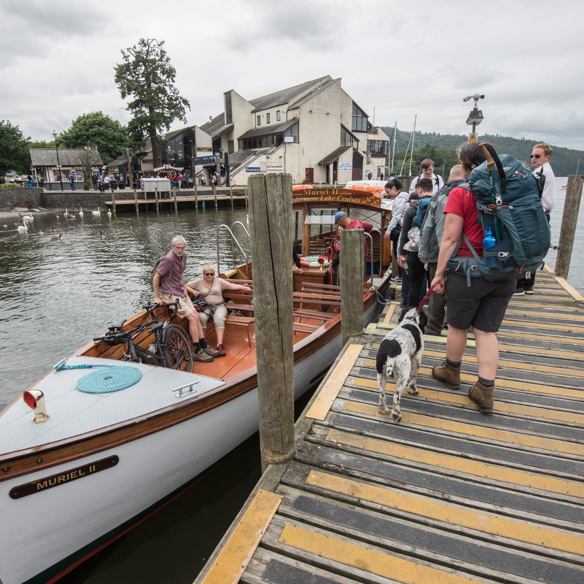 butnorain's tweet image. This time last week
Day 3 of the 7-day #treefold walk. 25km
Staveley-Grizedale

A meander from a glorious camp, a drift across Windermere, then strolling along Old Ways, resonant with forgotten footfall.
&amp;amp; by the end of the day, some stiles seemed a tad tricky.