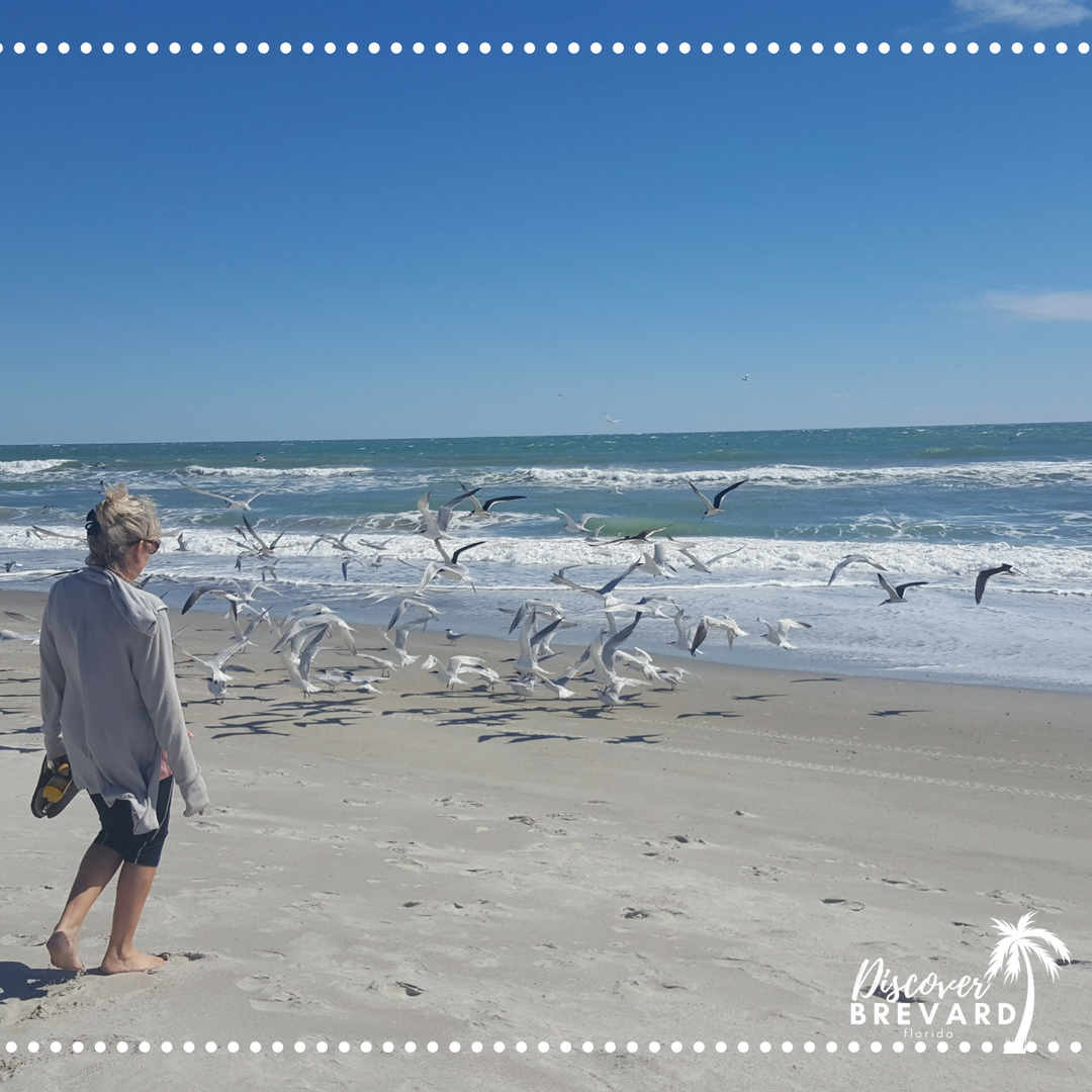 YourBrevardFL's tweet photo. ⛱️ ☀️Nothing like a great morning walk on the beach!!! https://t.co/GuqDv1IFld