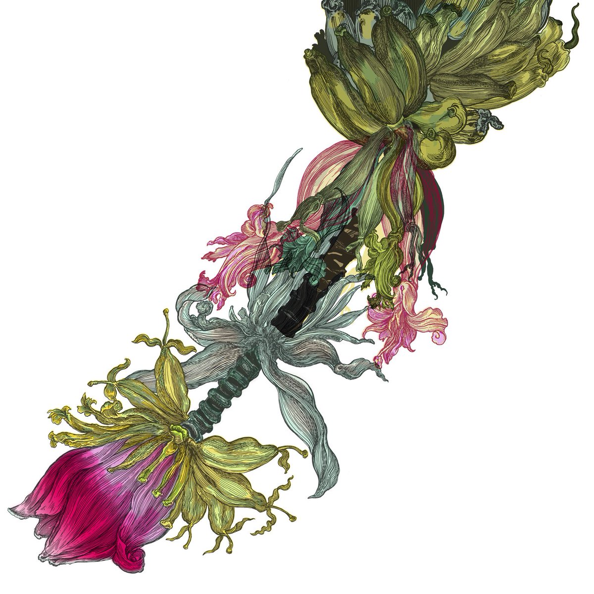 TBeasties's tweet photo. A floral from hotter climates - The teardrop shaped Banana Flower.
#design #artwork #drawing #colour #bananaflower #bananablossom #flowers #hotclimates #teardrop #pink #purple #interiors #interiordesign #timorousbeasties https://t.co/vOYjBkxrL0