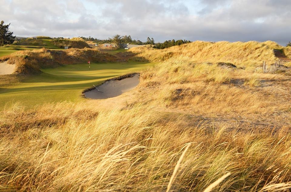 VIP_PDX's tweet image. We love this picture of Bandon Dunes Golf Resort from The Golfer's Journal. You have to experience this golf course. It's unlike any other. We can get you there. #golf #bandondunes #golfersjournal #luxurytravel #yolo