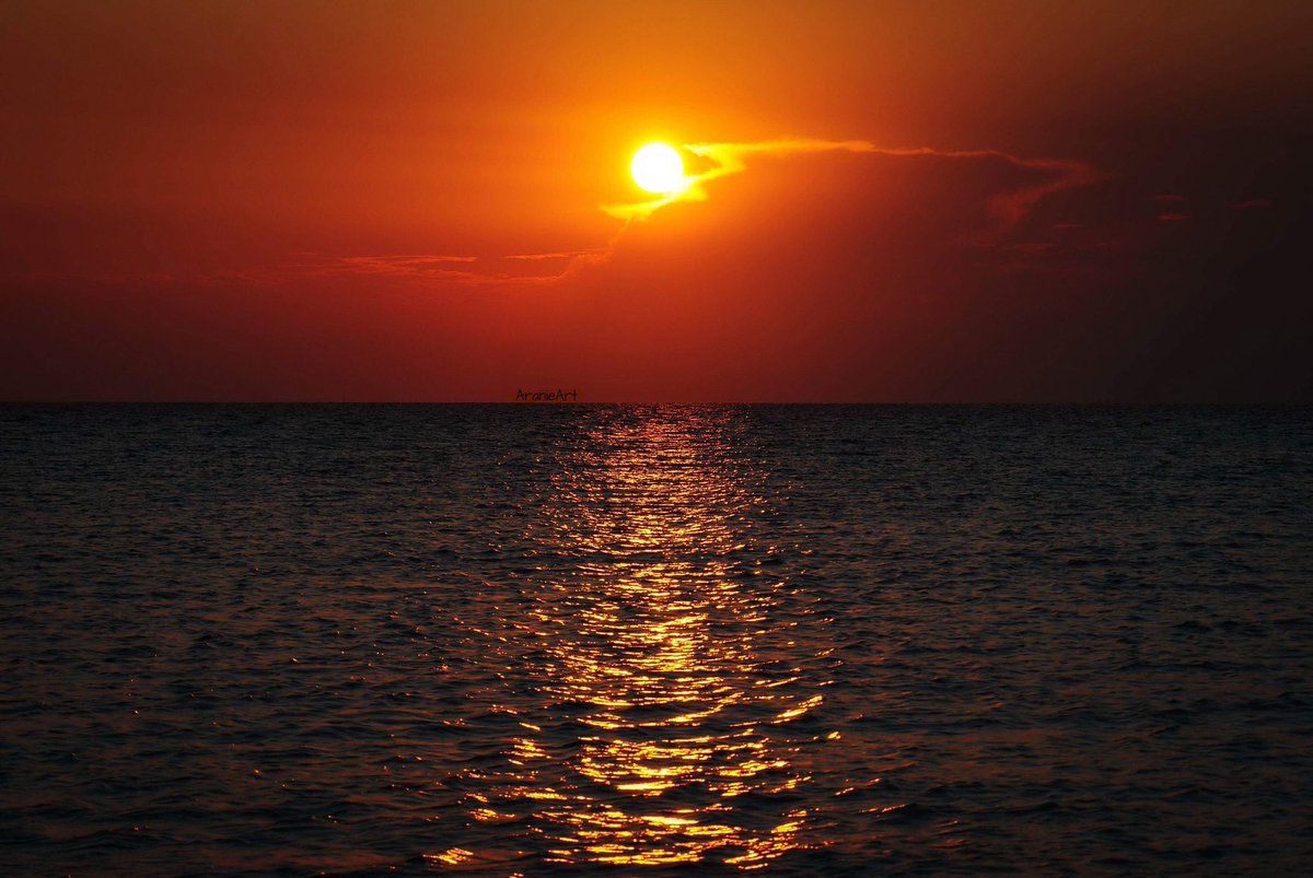 Il #tramonto e la sua #magia 🌅
#sunset #sunsetonthesea #magic #magicsunset #sunsetlovers #sunset_pics #sunsetoftheday #natura #nature #mare #sea #sealovers #sun #naturelife #natureofinstagram #naturephotography #nikon #volgotaranto #saturo #nikonphotography #aranieart