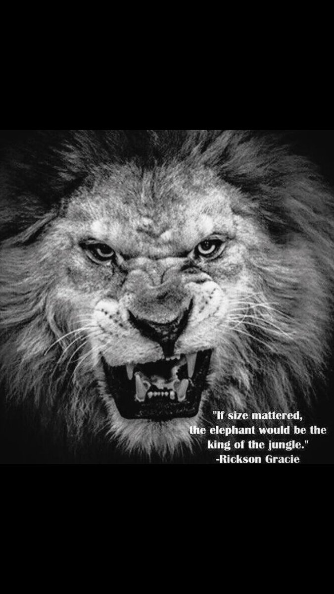 EMSecurity_ltd's tweet photo. https://t.co/kTeICtABwy