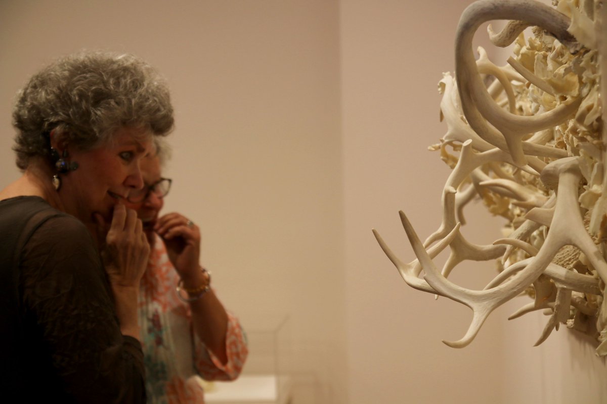 BrandywineMuse's tweet photo. We hope you can join us for this afternoon's "Natural Wonders" Gallery Talk to discuss this landmark exhibition that bursts right off the walls. This talk is #free with admission. See you at 2 p.m.! #NaturalWonders #BRMA #Today #ArtMuseum #ContemporaryArt
https://t.co/3tGv4McPYt https://t.co/s3RgKjoBig