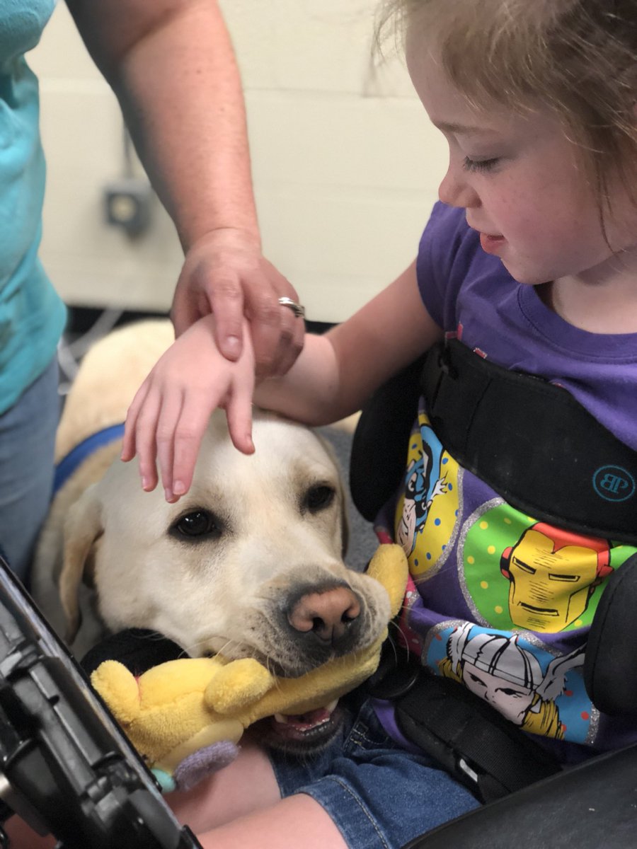 lindseypaden's tweet photo. Can all my #AAC #speechtherapy sessions involve a #servicedog? @bridgewayohio @USSAAC 
#slpeeps #dogs #augcomm https://t.co/ORctR9O5TW