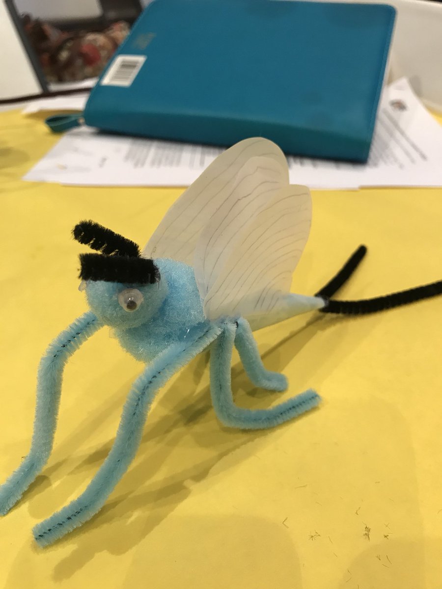 kellprice14's tweet photo. Towson University STEM training on insects in the classrooms and NGSS, in the city. #NGSSstandards #insects #thatsmyMurraytheMayfly #greenschool @JMartinPSES @PotSpringEl @BCPSSci @OfficialNGSS @GIS_Cromwell https://t.co/p7Qg4646yW