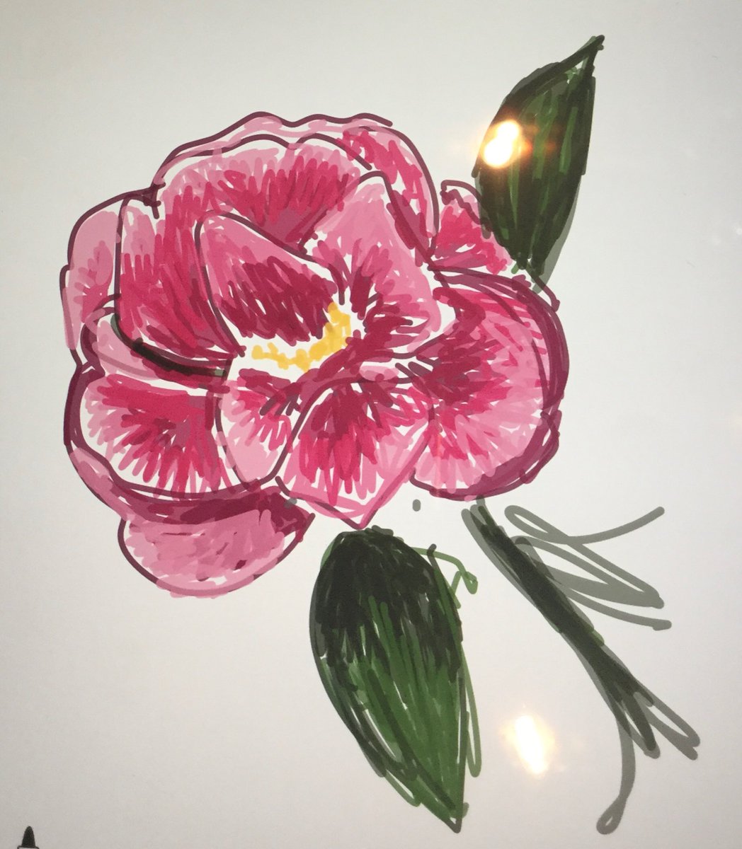 DebDebEdge's tweet photo. #EveryoneCanCreate #ISTE2018 https://t.co/TffrIoBBwZ