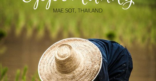 PAOCMissions's tweet photo. Looking to serve overseas? Check out our newest opportunity with Imagine Thailand. To learn more, visit: https://t.co/WQNOA7GfCLβ¦/imagine-thailand-foundation---mae-sot-arβ¦ #paocmissions #joinus #100pol #recruitment #100pointsoflight #whowillgo #sending100 https://t.co/3oC0JEvRvE