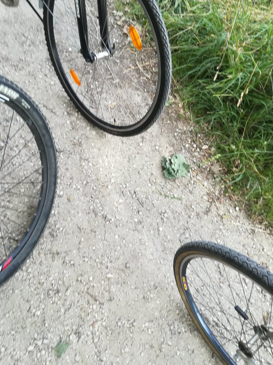 mau_benz's tweet photo. #pedalata #collinemoreniche https://t.co/j9SWbsahwL