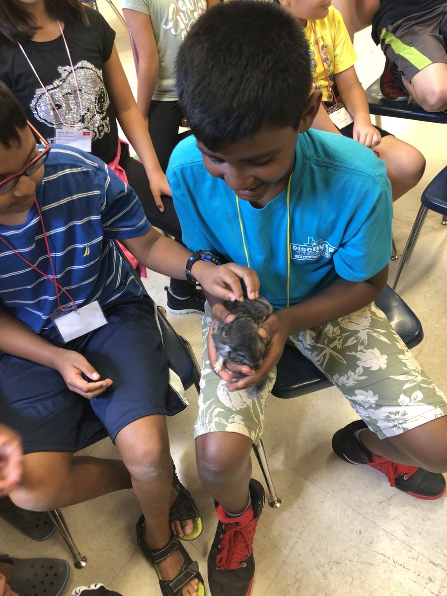MsJ_Arnold88's tweet photo. So many scientific experiences that make me smile. Having the best time in Weird Science #EASummerFun https://t.co/HUZaVwNA8v