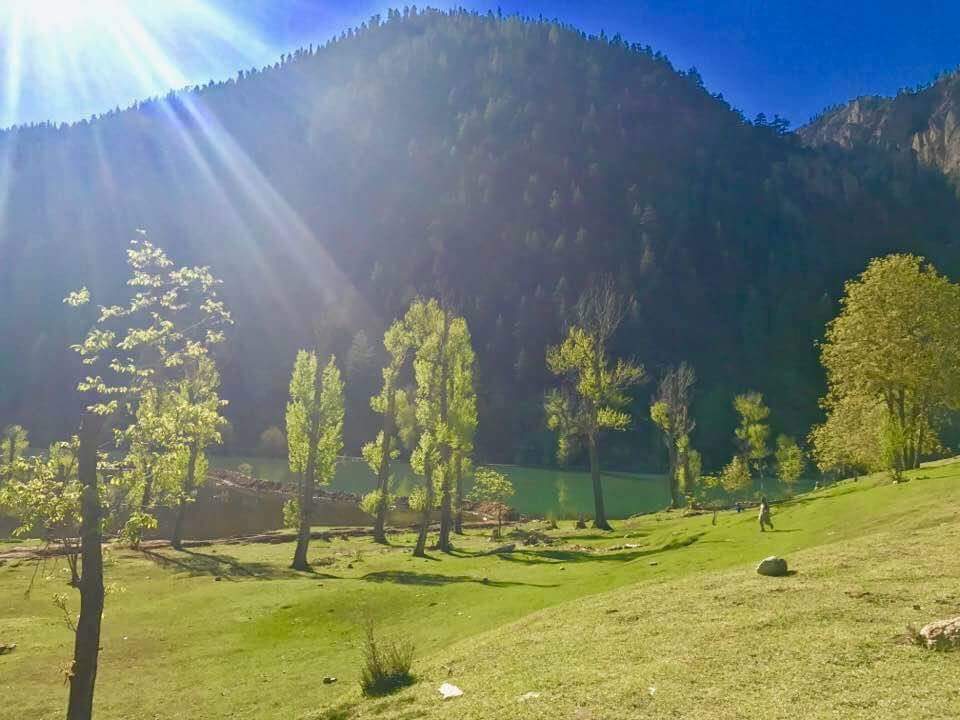 AFGphoenix's tweet photo. Beautiful Noristan Province https://t.co/tMMg2mbMIB