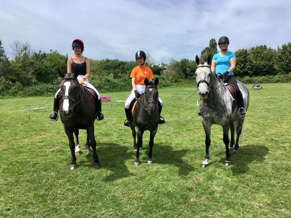 Focused training at home – our in-house dressage challenge aspireequestrian.wordpress.com/2018/06/26/foc…