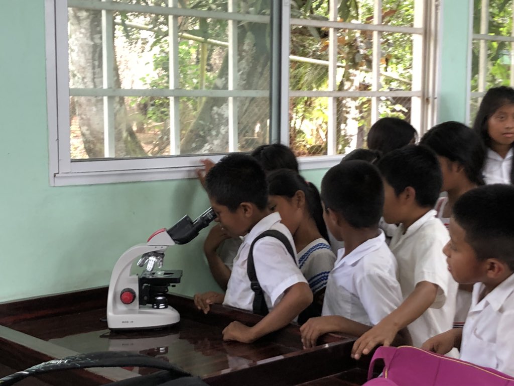 HannahCotten1's tweet photo. What a joy to bring science to the classrooms of indigenous Panama. Watching these future scientists look through a microscope for the first time was such a beautiful experience.Their eyes have been opened and they are now hooked on science! #fft #hilldillos #aisdproud #fftfellow https://t.co/ZbSrzrYmDD
