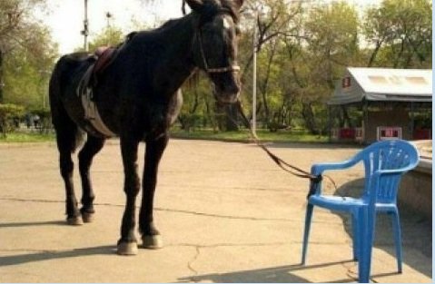 GreekSentinelGR's tweet photo. Μερικές φορές, εκείνο που σε κρατάει είναι μόνο στο μυαλό σου.. https://t.co/11b8Q3IoTv