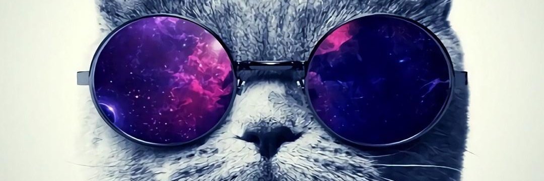 Instant Cookie (@leon57844013) on Twitter photo 