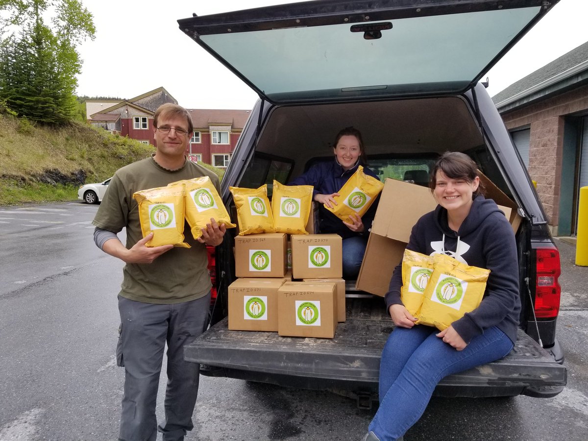 SpicerHeather's tweet photo. NL #budwormtracker kits are on their way! ๐๐ @JoeBowdenNL @emilyowenz @robcjohns https://t.co/P2akaLSYCu