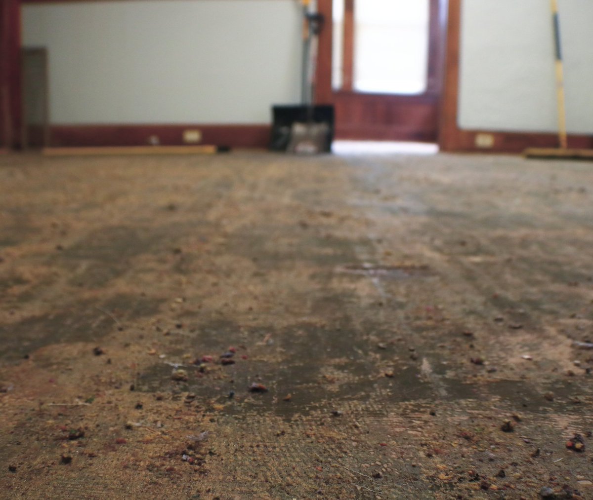 No carpet. No problem.