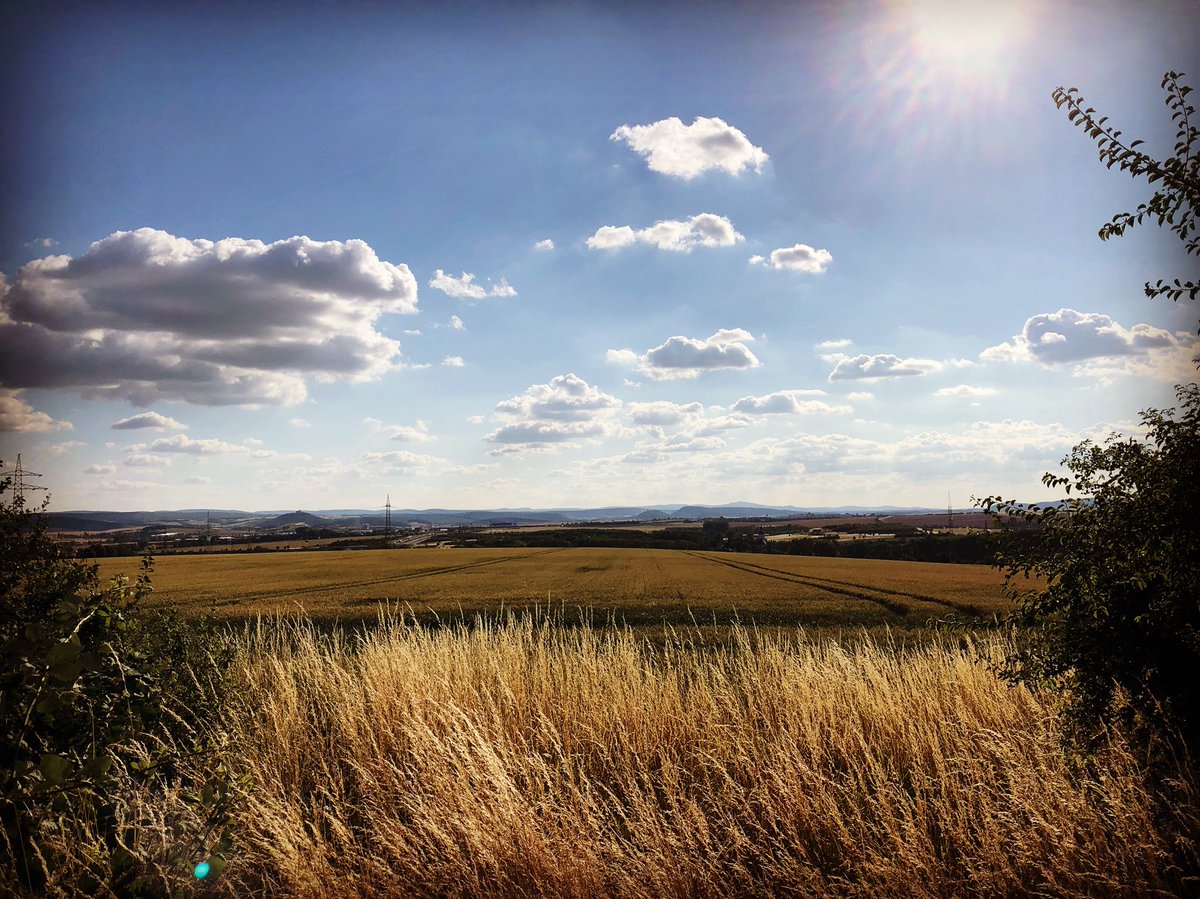 Zipfelmuetze's tweet photo. Zwischen viel ⚽️⚽️⚽️ ne fixe Runde 🚴🏼♂️ mit #DreiGleichen und #Inselsberg Panorama
#Thueringen #Wachsenburg #Mühlburg #BurgGleichen #RadatlasEF https://t.co/lRzzwacssS