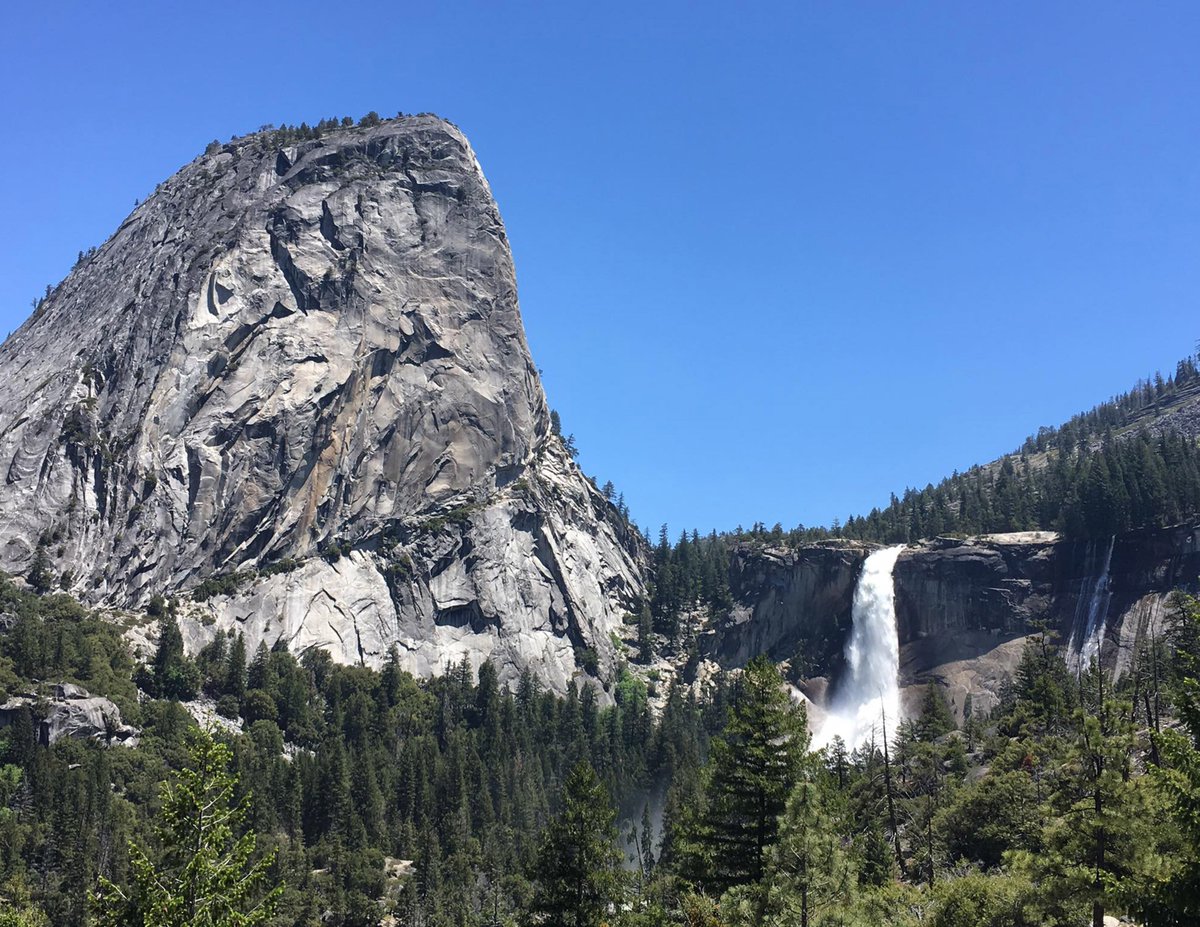 YourPassNow tweet media