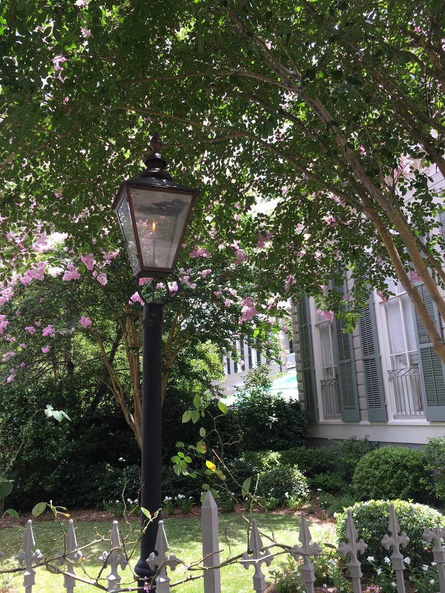 AssumptionAthTr's tweet photo. Kinda looks like The woo! #NATA2018 #NOLA #amazingarchitecture #offtoclass https://t.co/JitvVPJuiB