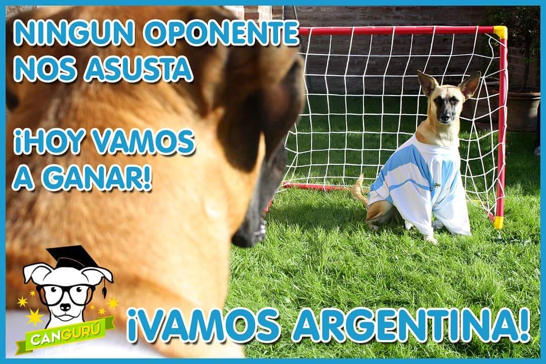 EscuelaCanguru's tweet photo. ¡¡Vamos Argentina!! 💙
¡Hoy tenemos que ganar! 
#MundialRusia2018 #VamosArgentina #VamosSeleccion #perrosdeargentina https://t.co/6JCGfwo6t9