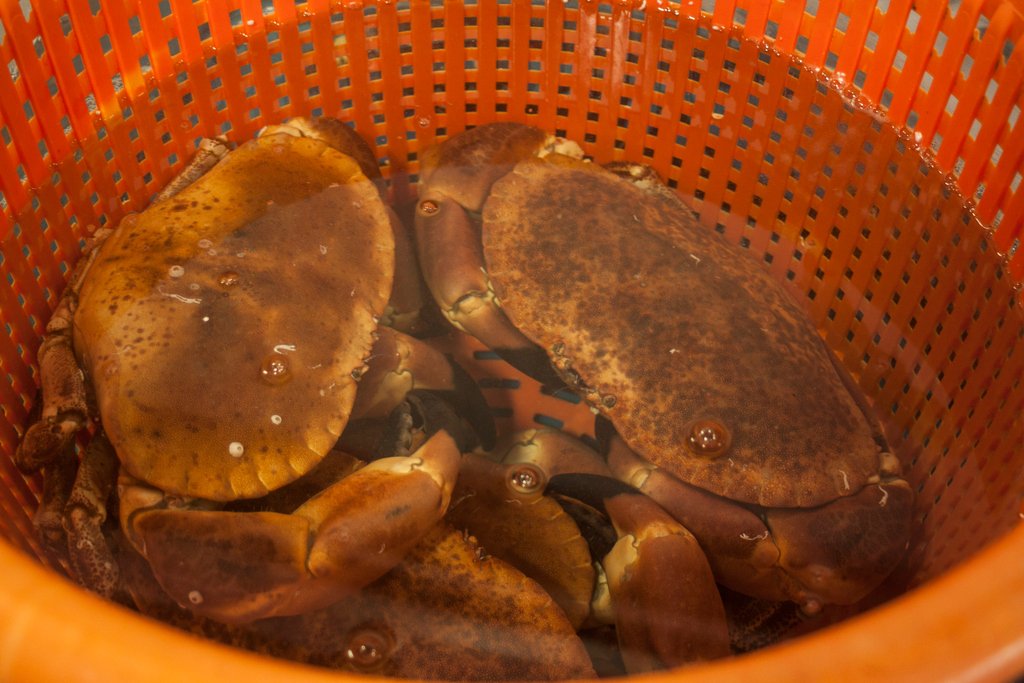 S&J Fisheries tweet media