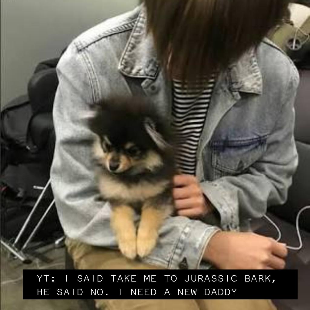 incorrecttan's tweet image. pretty disapawinted, you hoomans still don't have dog subtitles -🐾
#incorrect #bts #incorrectyeontan