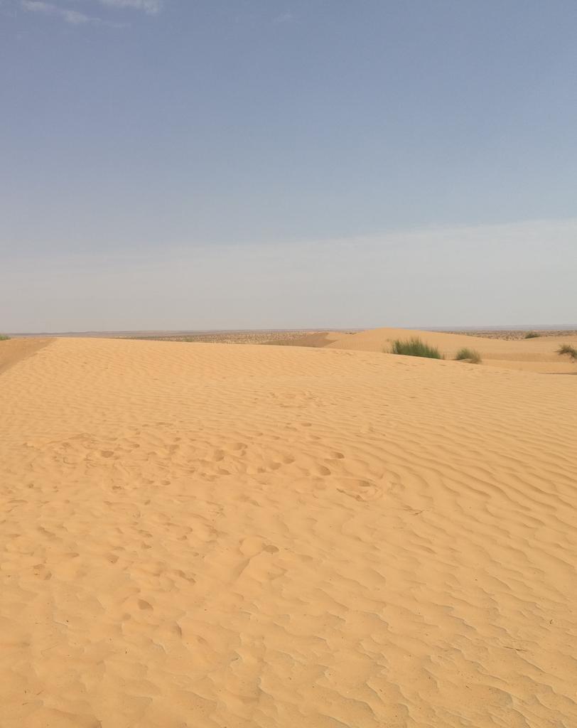 bugojnomoje's tweet photo. Sahara... https://t.co/zBH5KJOLu7