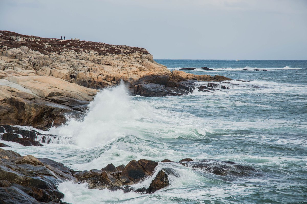 EcologyAction's tweet photo. Today, Environment Minister Iain Rankin launched public consultations on future coastal protection legislation. The public can have their say online at https://t.co/1D3hdkLnRi. The consultation will be open until Aug. 17.

Read the full release here: https://t.co/g38DaTY7YI https://t.co/oLuwFghSHF
