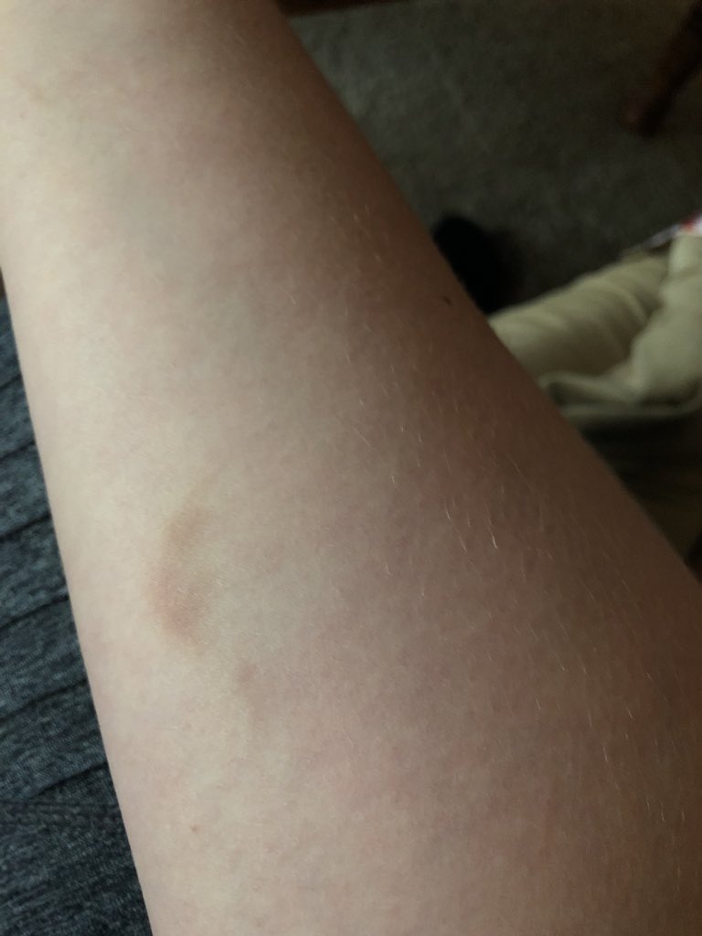 taryn corwin tweet media