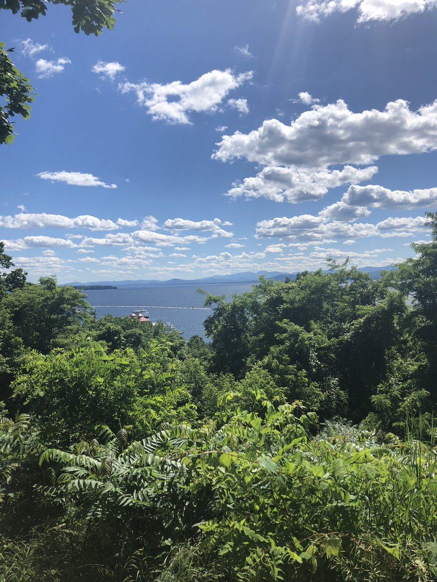 brittbeach21's tweet photo. Had to rush home from a Burlington mini-vacation to vote! Inspired by that little city https://t.co/vlrU1cBveR